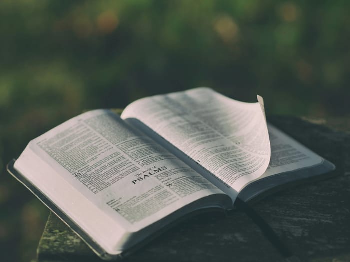 Journey Through the Psalms