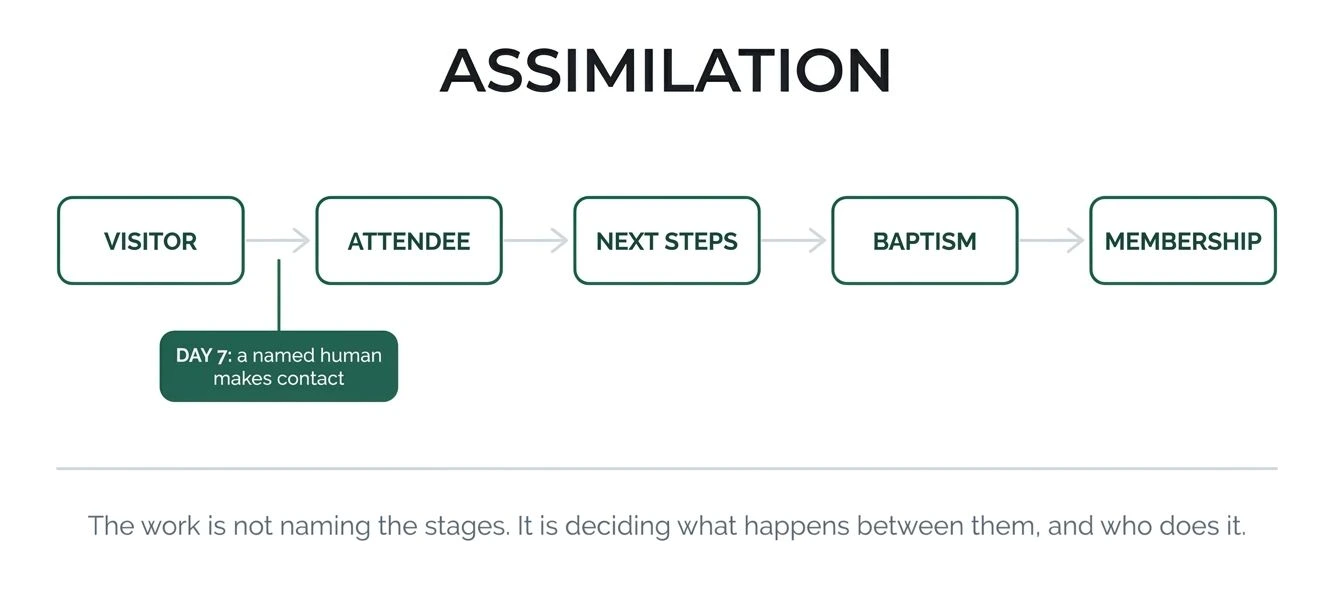 The assimilation stages in order: Visitor, Attendee, Next Steps, Baptism, Membership. A callout under the gap between Visitor and Attendee reads: day 7, a named human makes contact. Beneath: the work is not naming the stages, it is deciding what happens between them, and who does it.