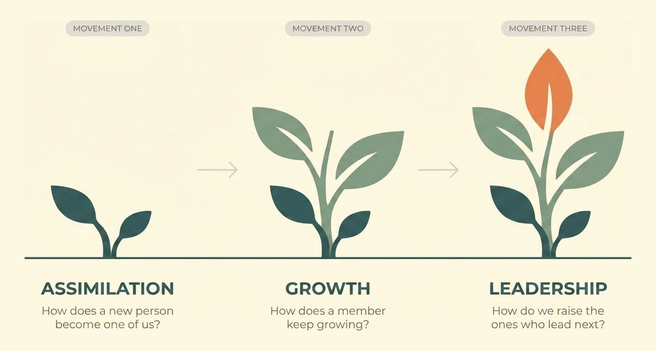 The three movements drawn as the Start Discipling plant growing in three stages. Movement one, Assimilation: only the dark teal base and its two small leaves, how does a new person become one of us? Movement two, Growth: the same base with the large sage leaves added, how does a member keep growing? Movement three, Leadership: the whole plant with the orange bud on top, how do we raise the ones who lead next?